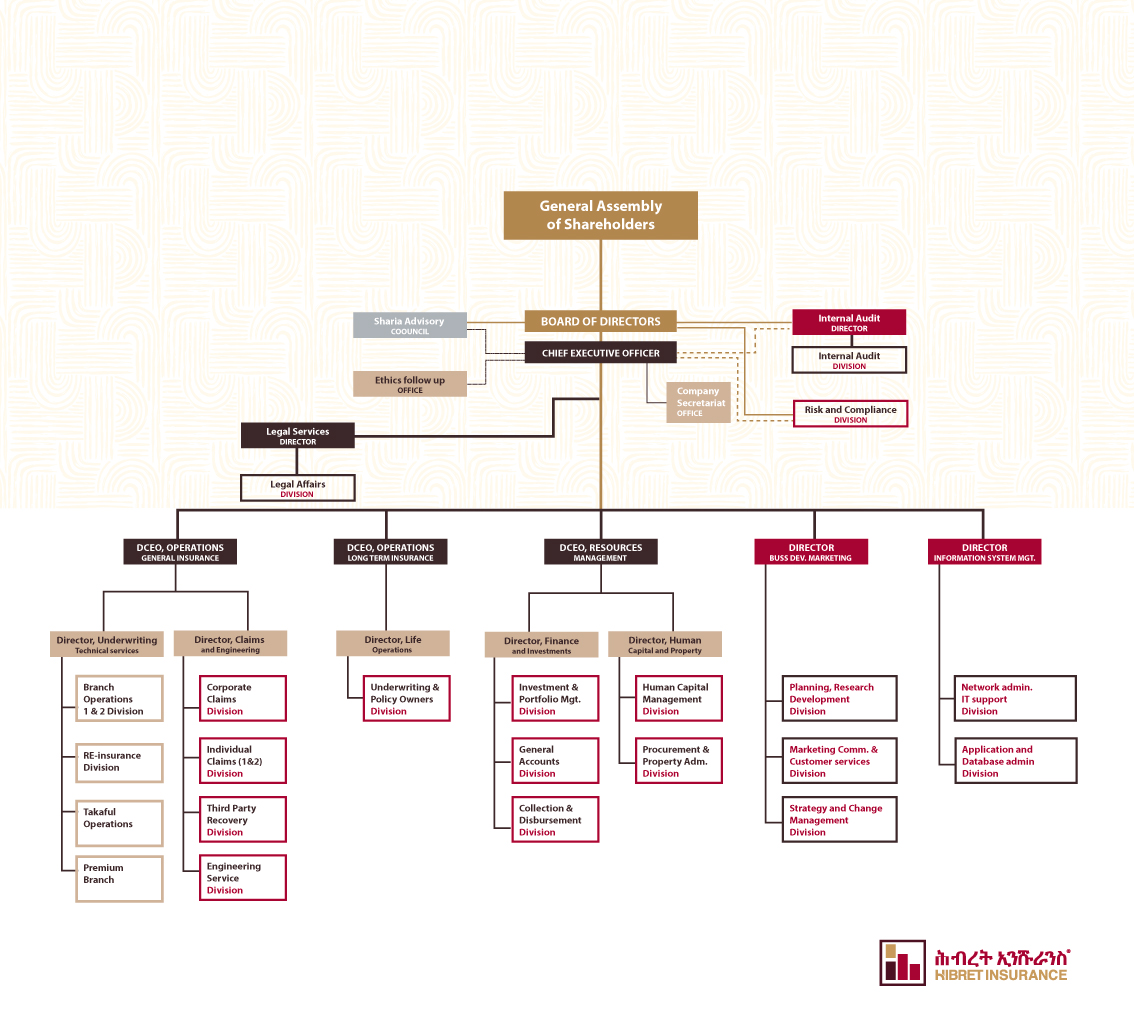 Hibret Insurance - Organizational Chart