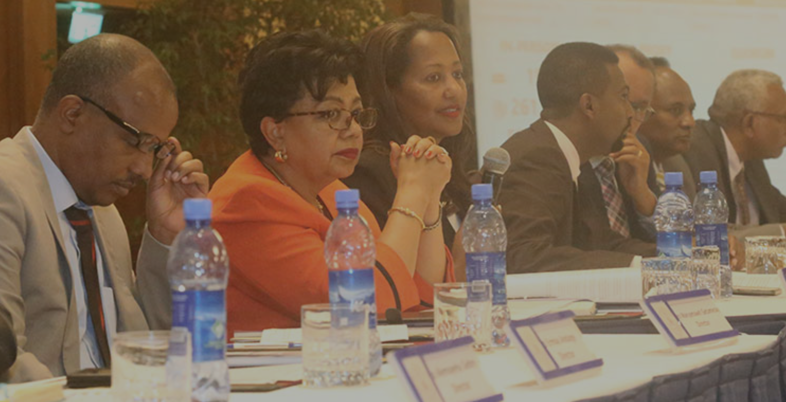 Hibret Insurance - Annual meeting